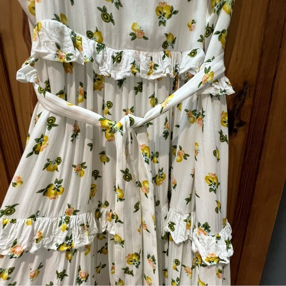 Altar’d State fruit print Dress Size M. Excellent condition tie front or back - Picture 5 of 10